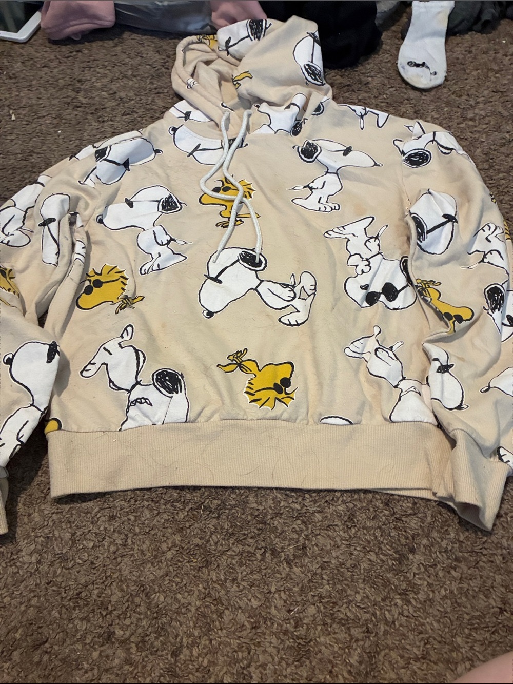Peanuts Beige Graphic Snoopy & Woodstock Hoodie